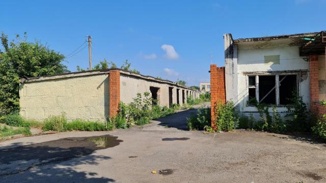 Лот 4029697